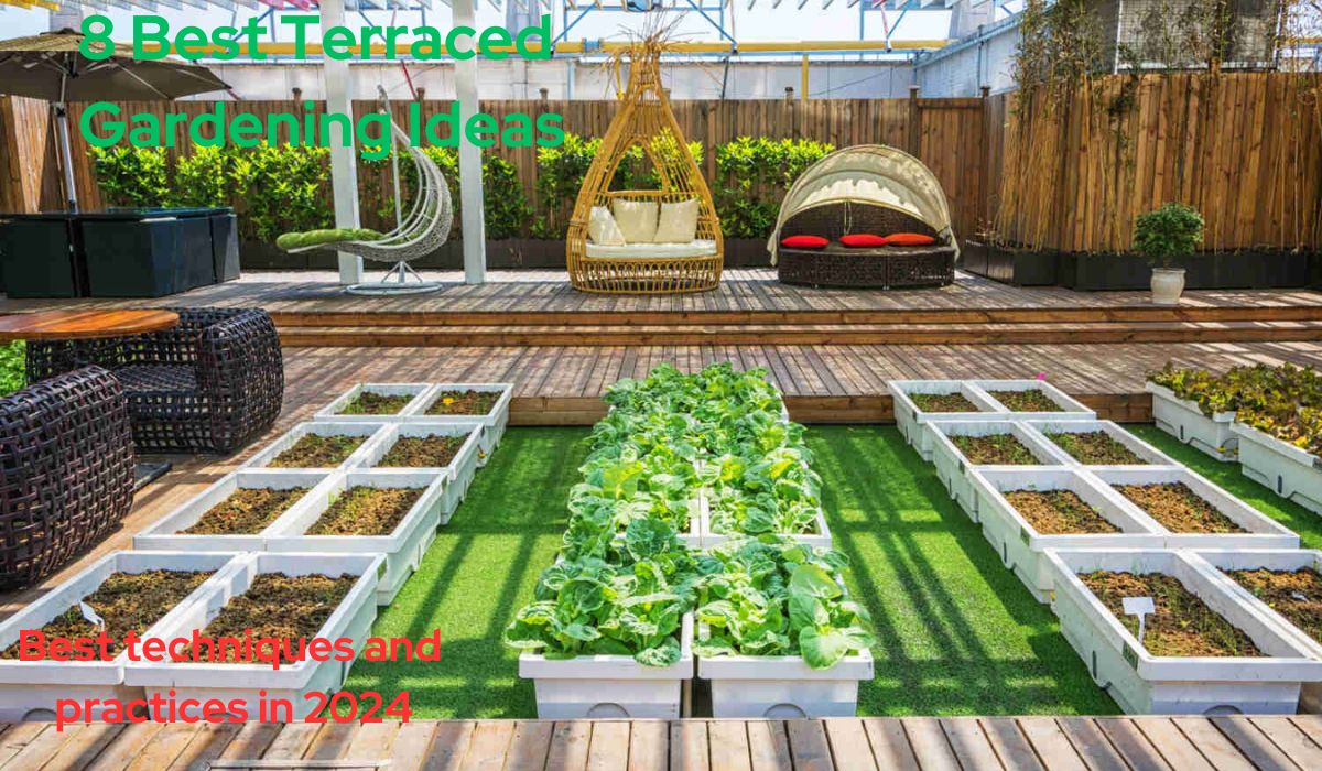 Terraced Gardening Ideas