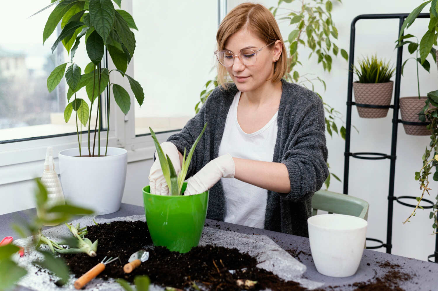 The Therapeutic Benefits of Gardening as an Alternative to Traditional Therapy