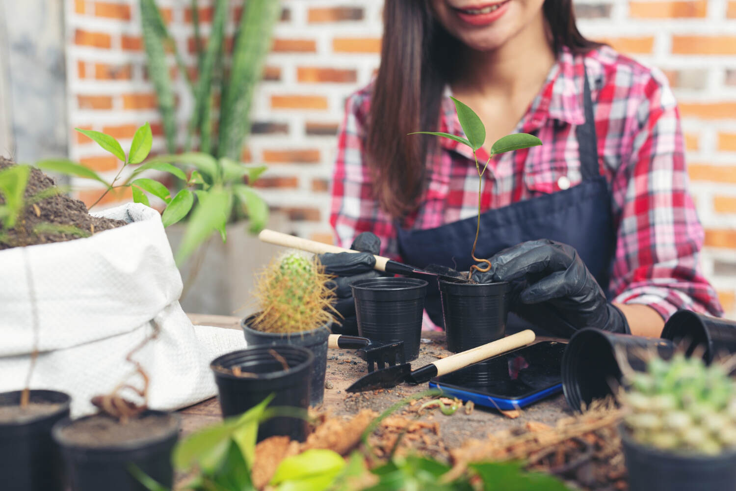 Therapeutic Aspects of Gardening as a Hobby