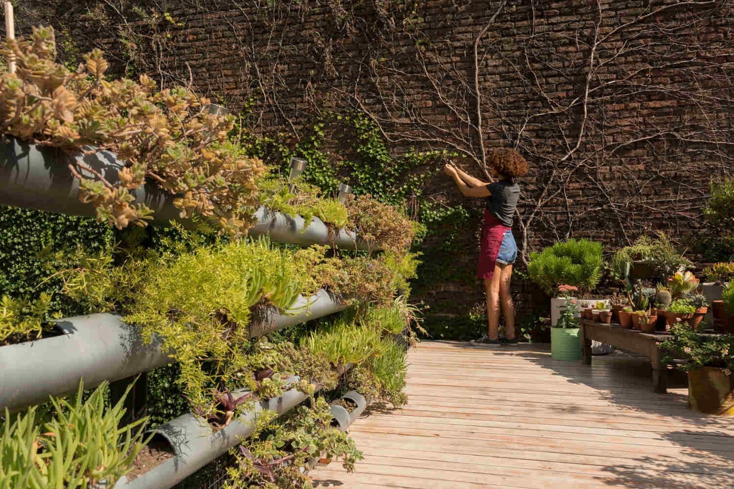 Zen Garden Retreat - Terraced Gardening Ideas