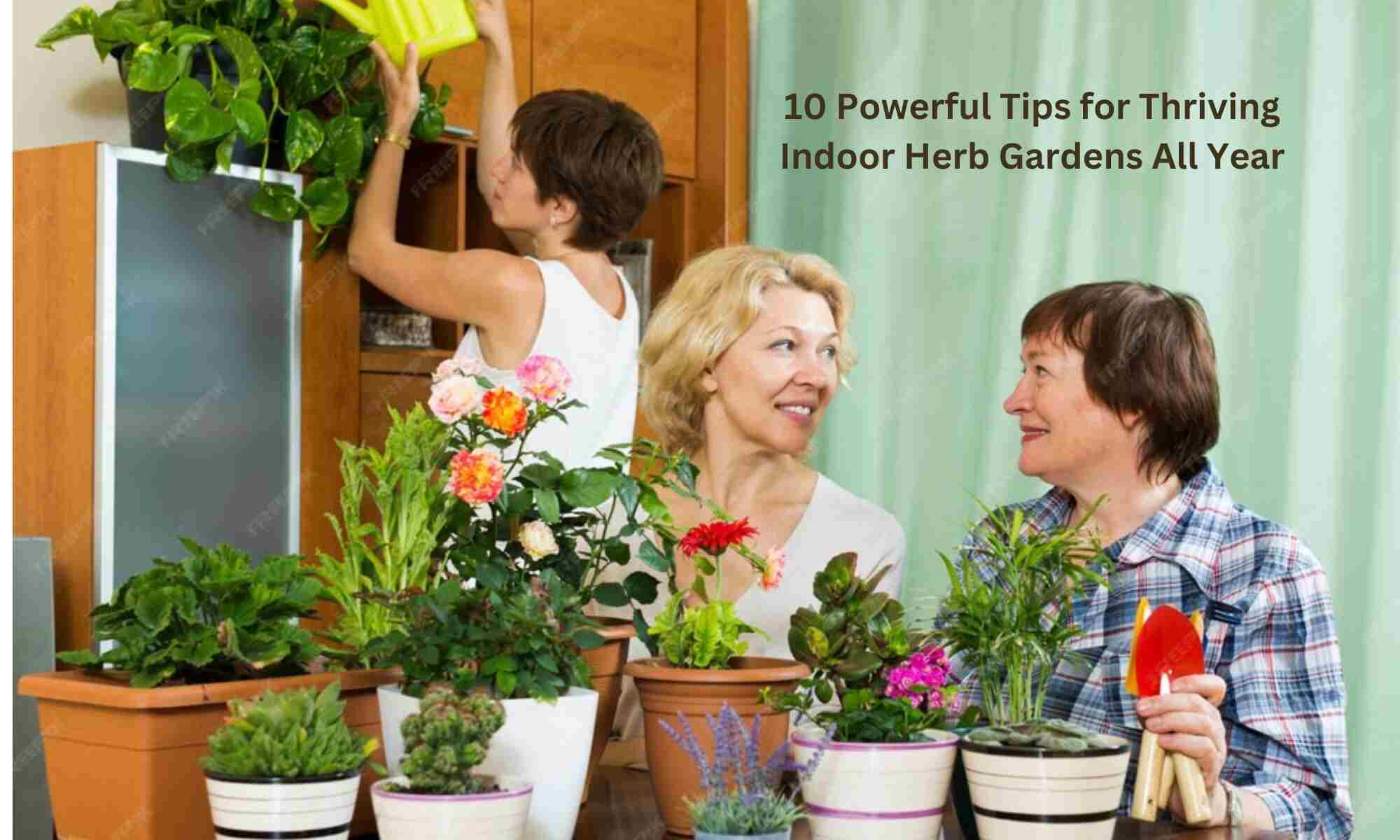 10 Powerful Tips for Thriving Indoor Herb Gardens All Year (1)