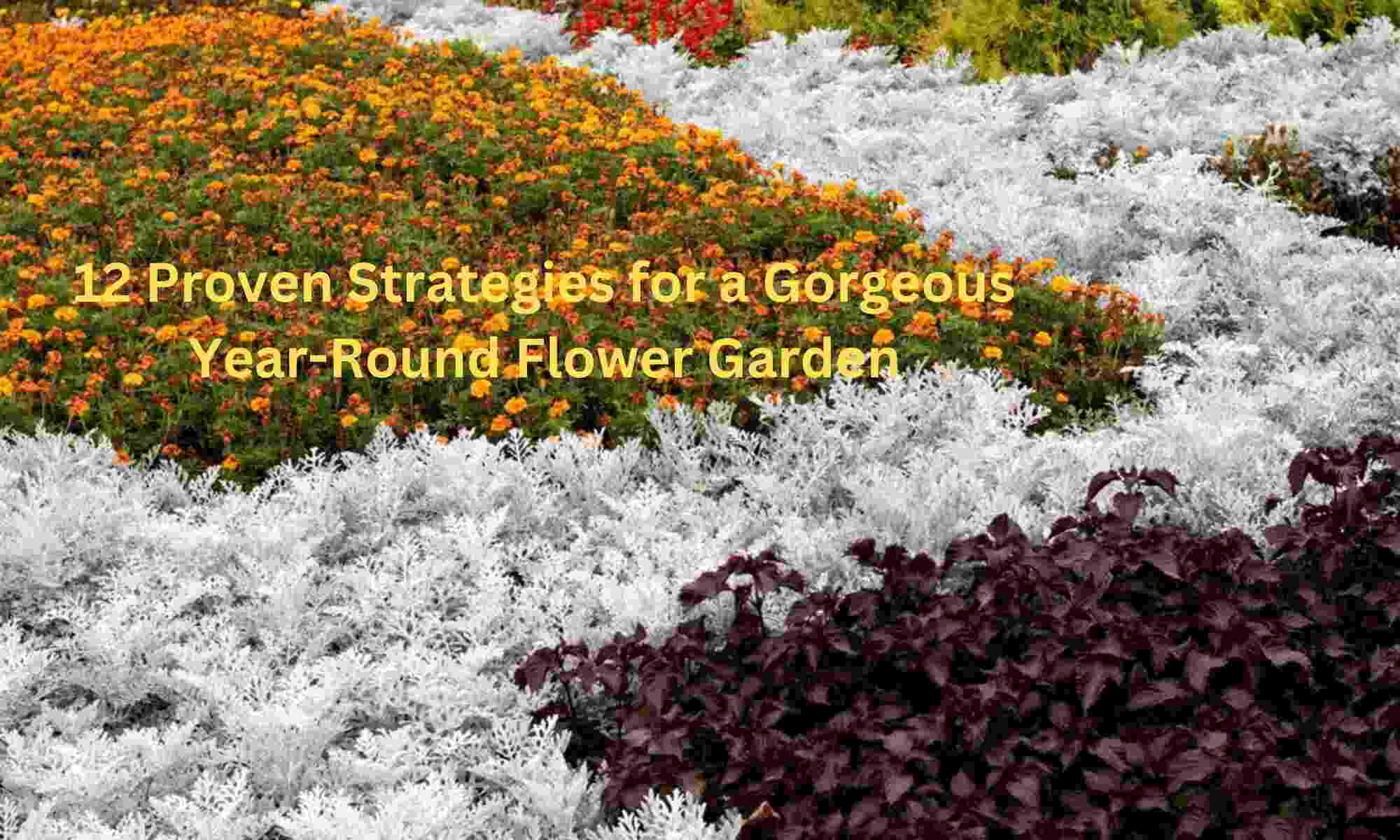 Strategies for a Gorgeous Year-Round Flower Garden