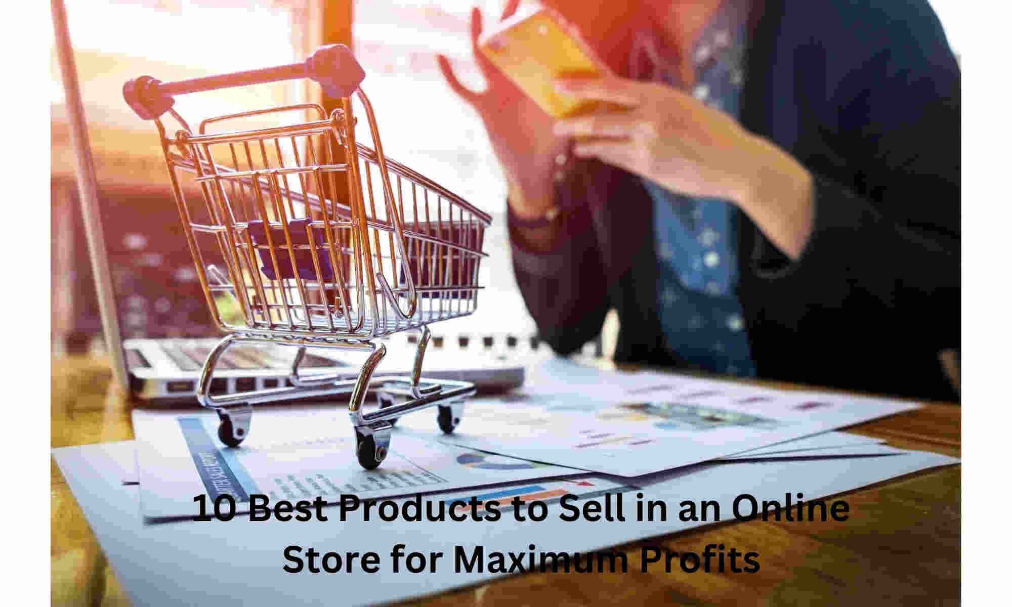 Products to Sell in an Online Store for Maximum Profits