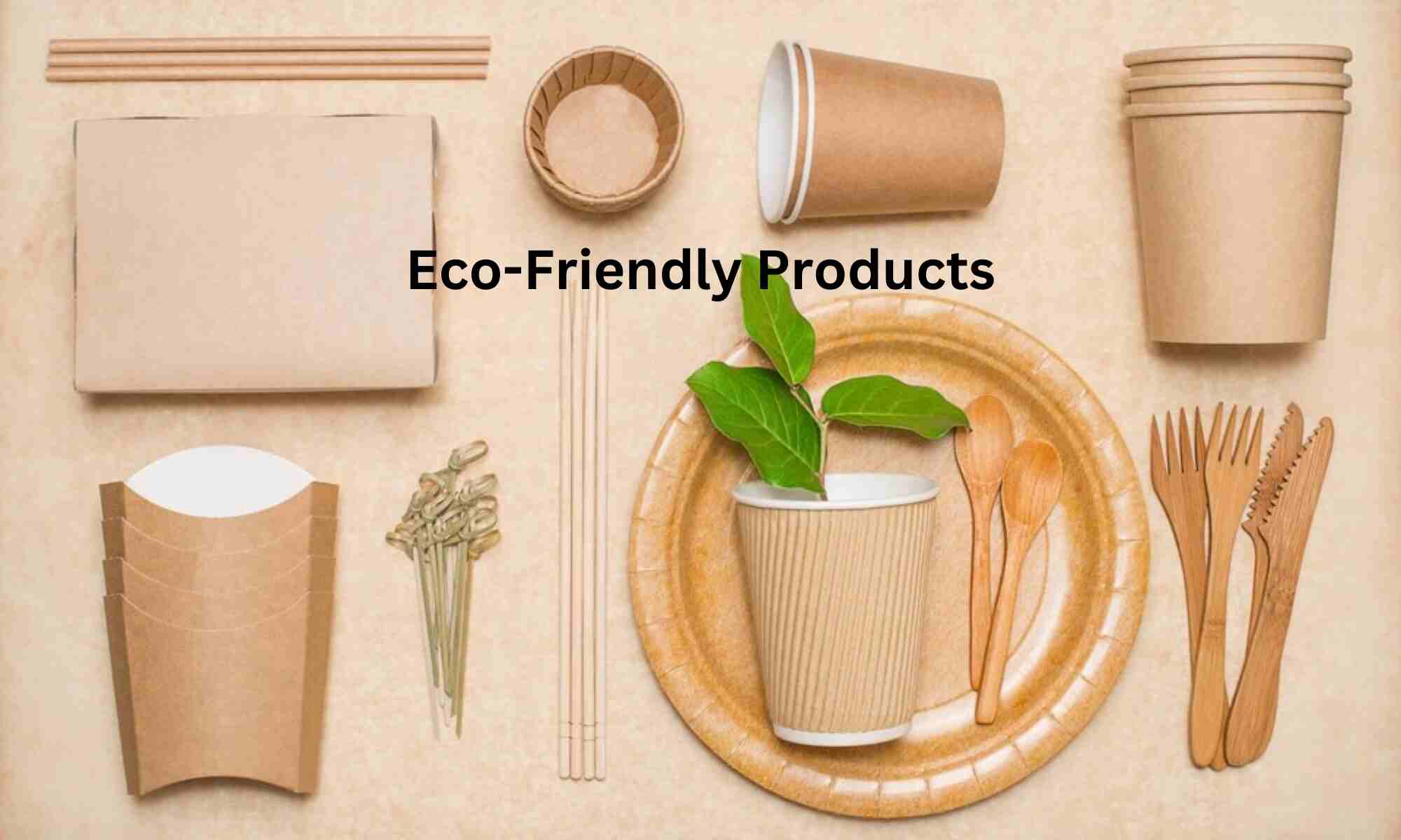 Eco-Friendly Products - Products to Sell in an Online Store