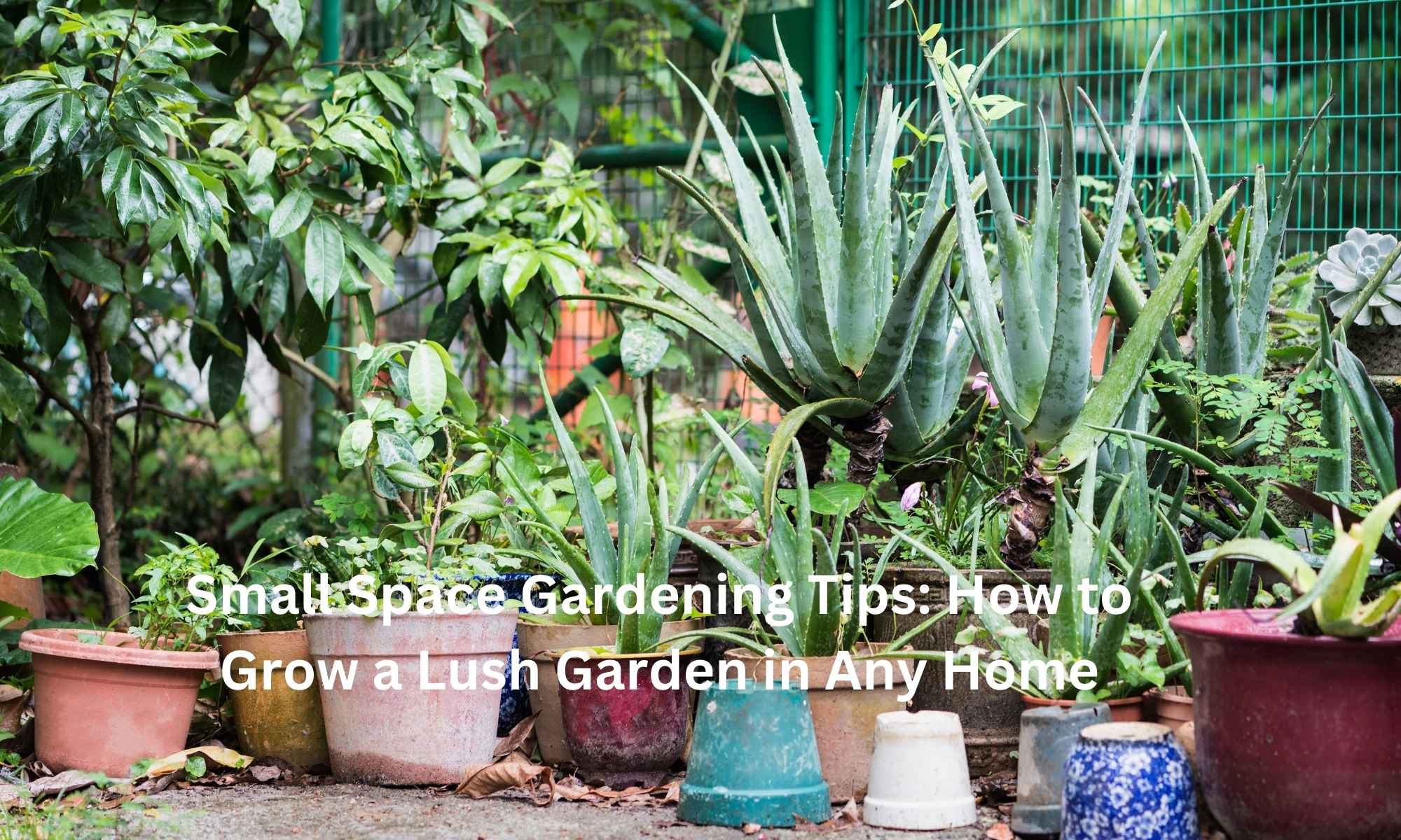 Small Space Gardening Tips How to Grow a Lush Garden in Any Home