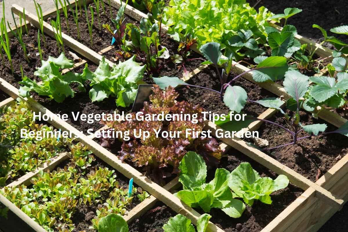 Home Vegetable Gardening Tips for Beginners Setting Up Your First Garden