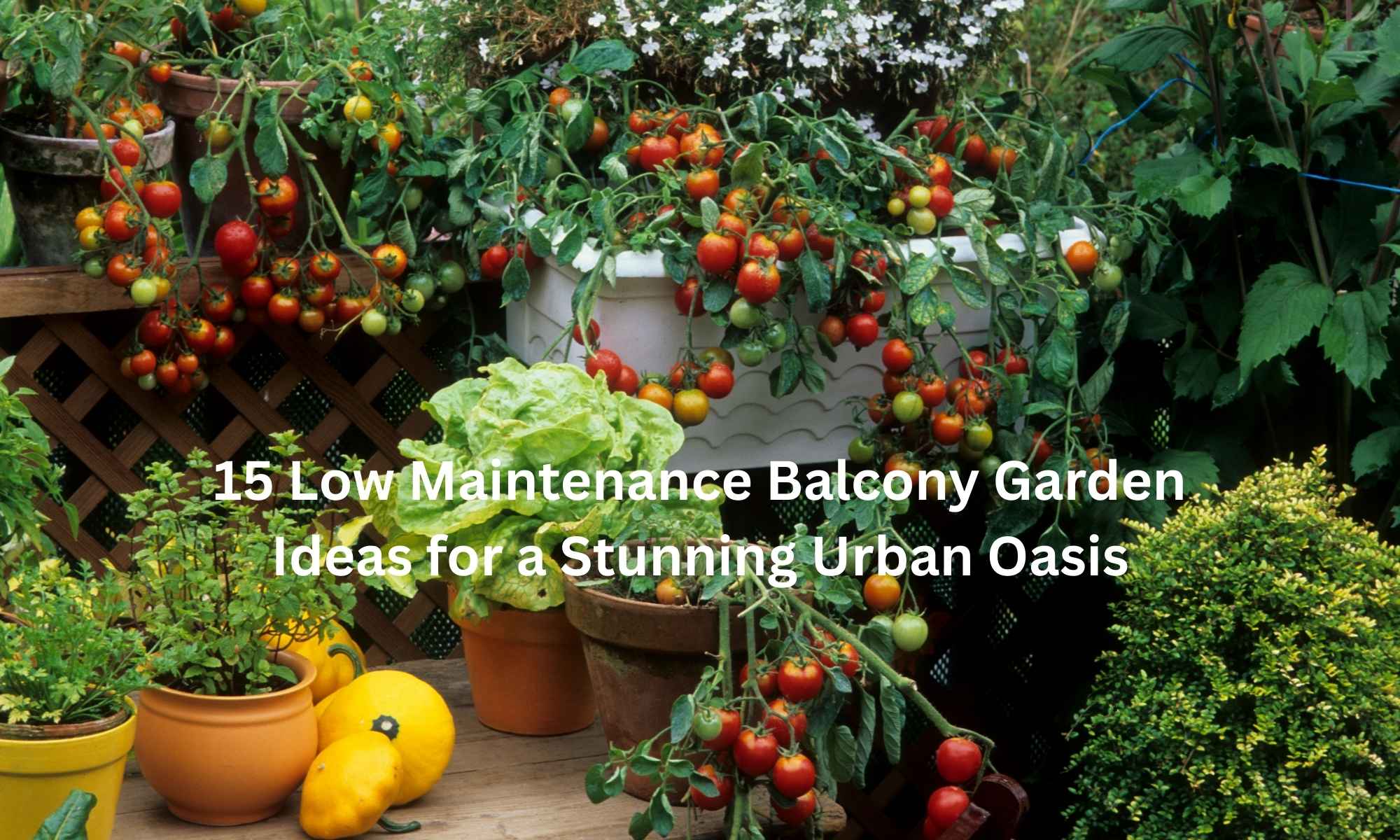 Low Maintenance Balcony Garden Ideas for a Stunning Urban Oasis