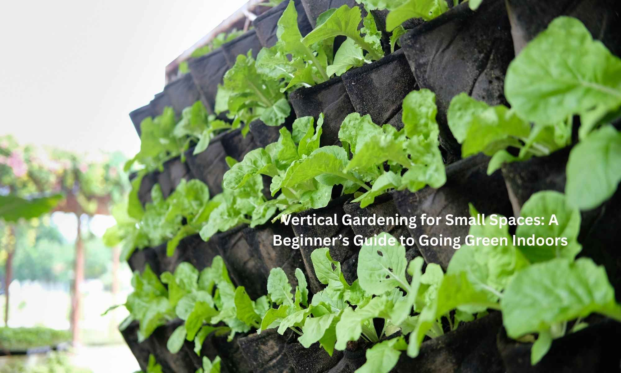 Vertical Gardening for Small Spaces A Beginner’s Guide to Going Green Indoors