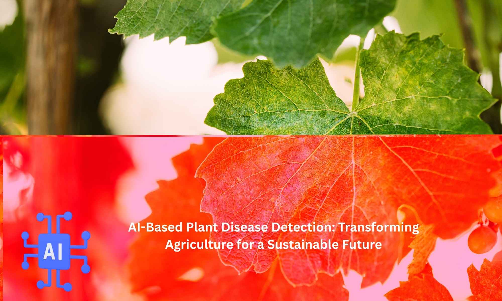 AI-Based Plant Disease Detection Transforming Agriculture for a Sustainable Future