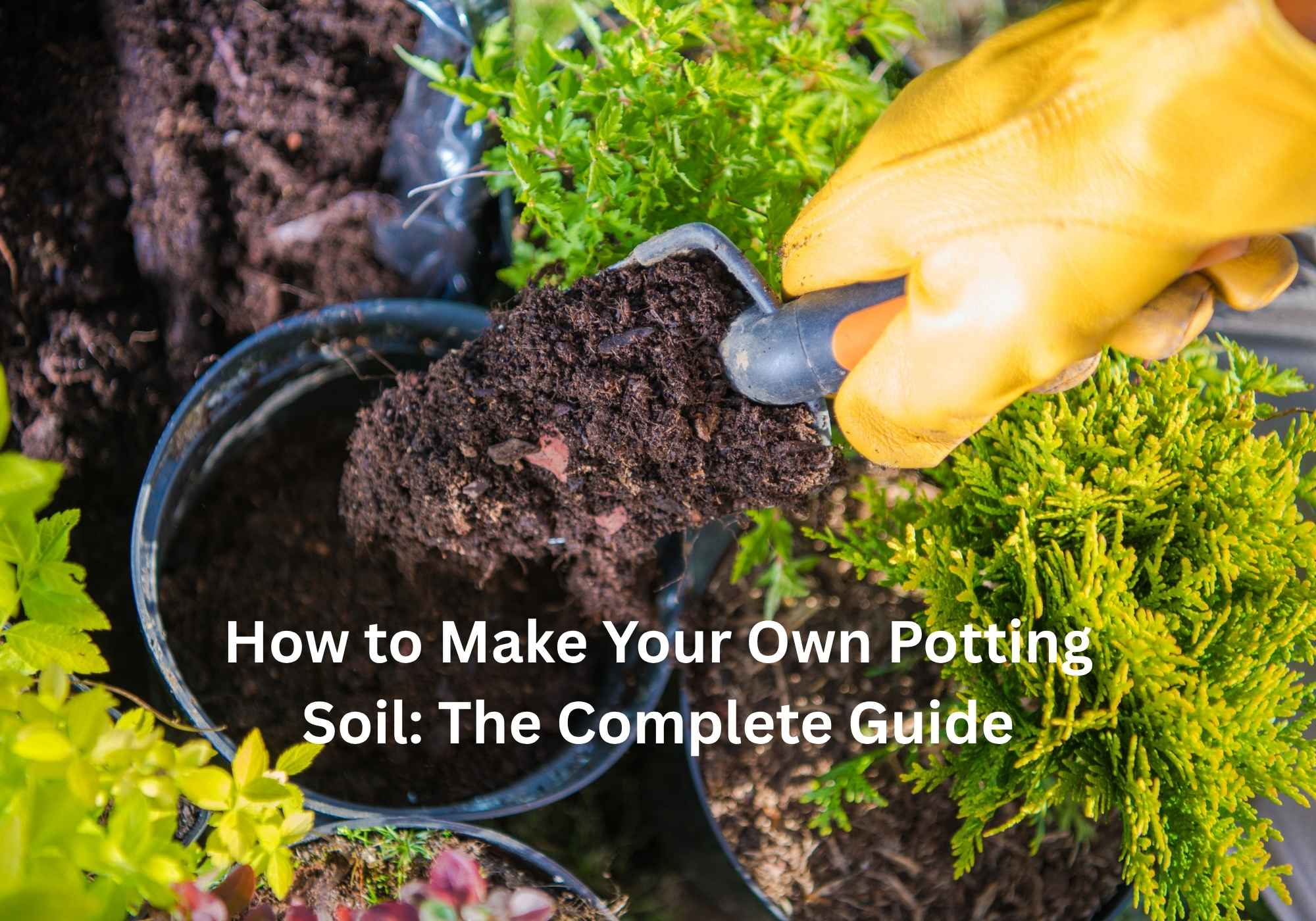 How to Make Your Own Potting Soil The Complete Guide