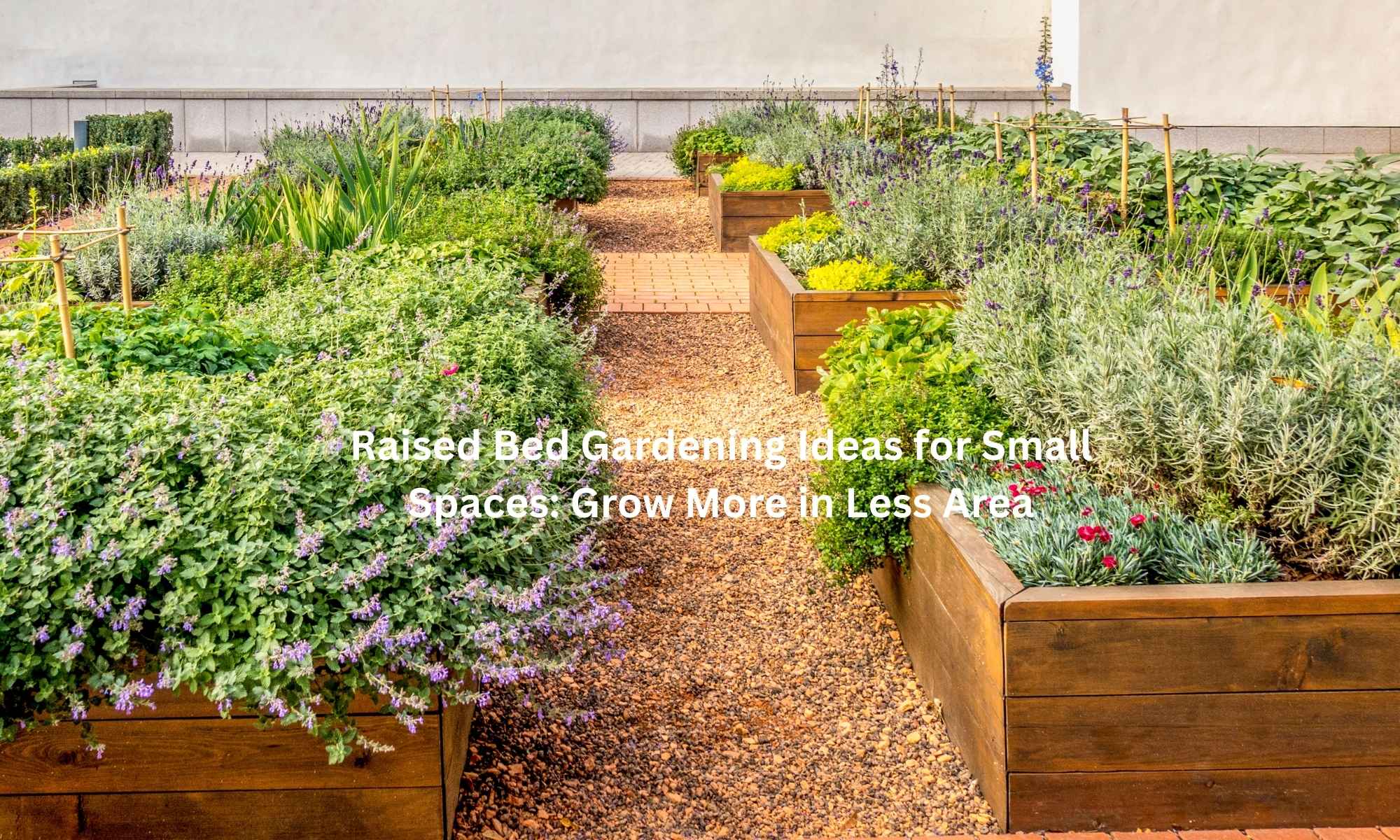 Raised Bed Gardening Ideas for Small Spaces Grow More in Less Area